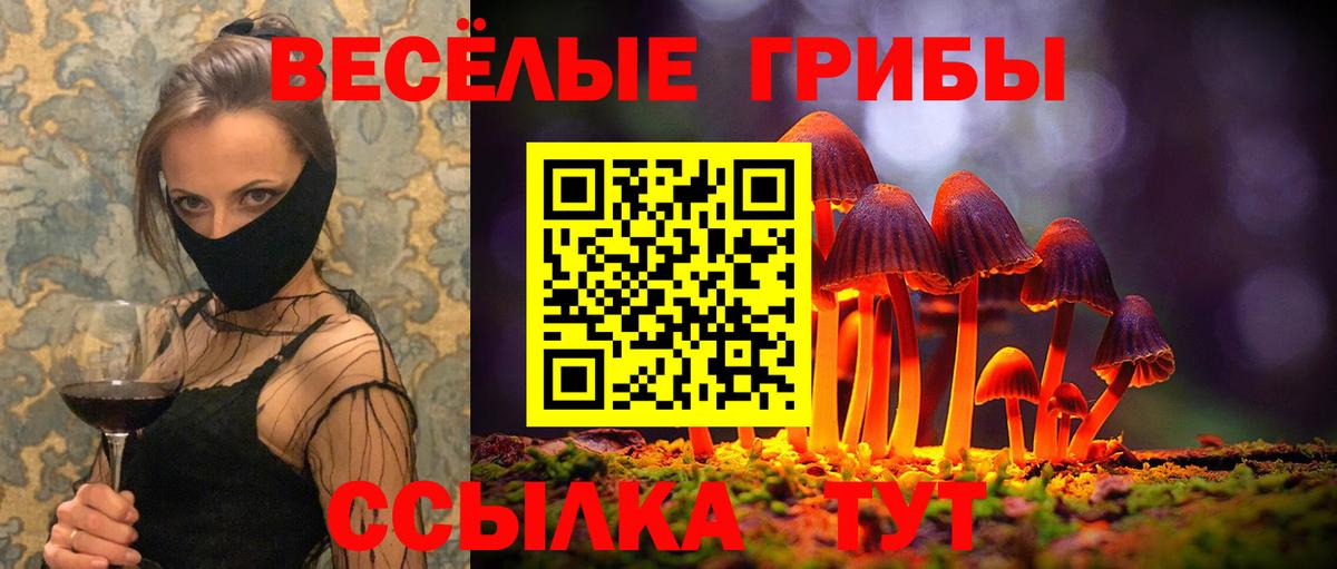 Галлюциногенные грибы Psilocybe Абакан