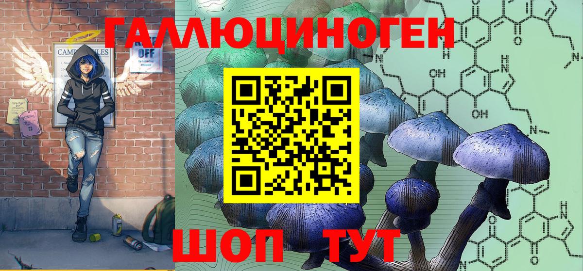 Псилоцибиновые грибы Psilocybine cubensis  Вход с VPN  купить наркоту  Абакан 